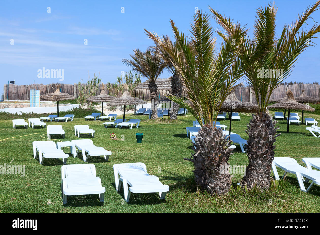 Sun Loungers For Sunbathing And Relax On Grass In Tropical - 