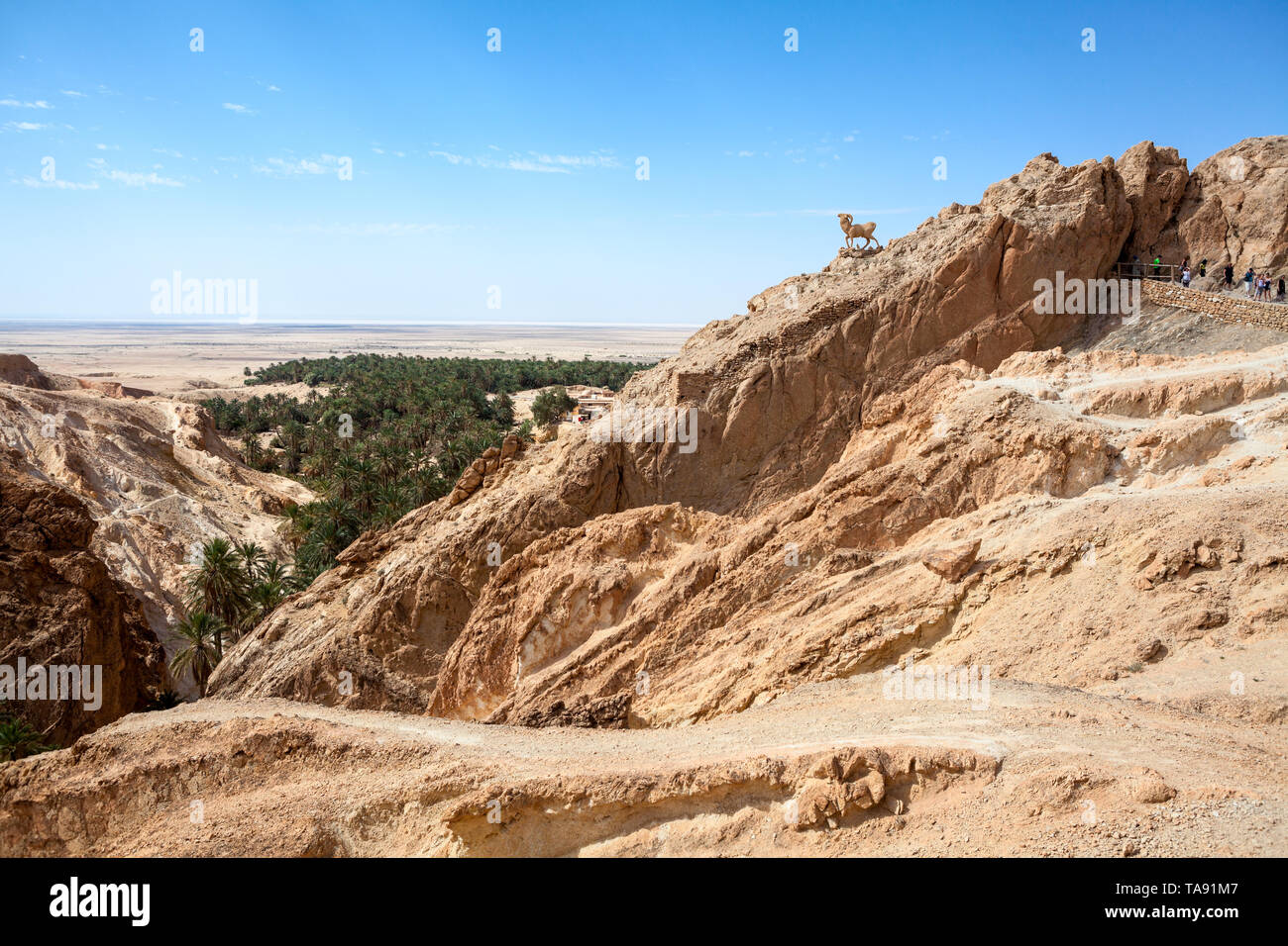 Spectacular view of the Chebika oasis in Djebel el Negueb mountain. It is popular hiking area for advanced hikers in Toseur governorate, western Tunis Stock Photo