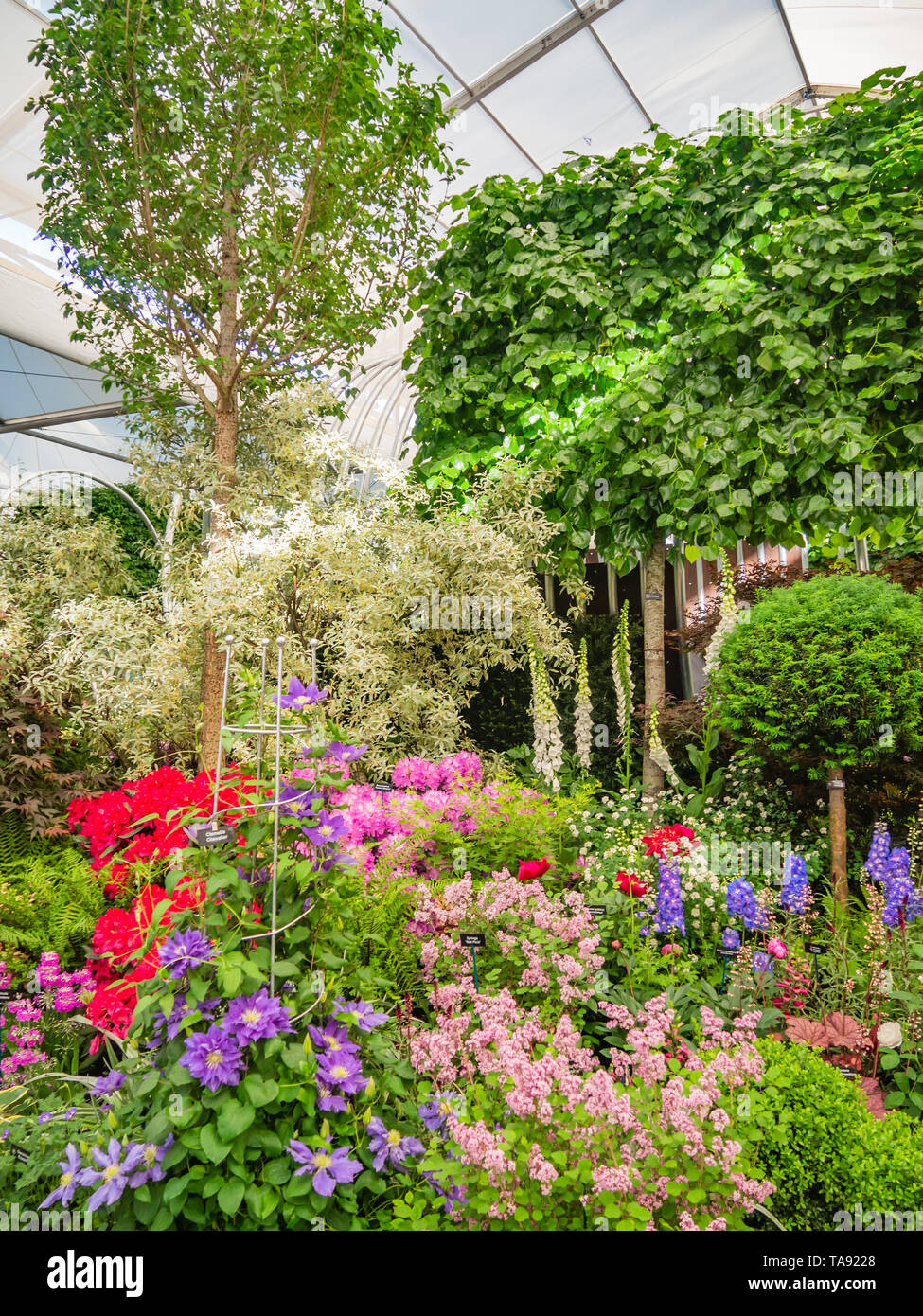 Beautifully designed gardens with plants and variegated flower compositions at RHS Chelsea Flower Show. Stock Photo
