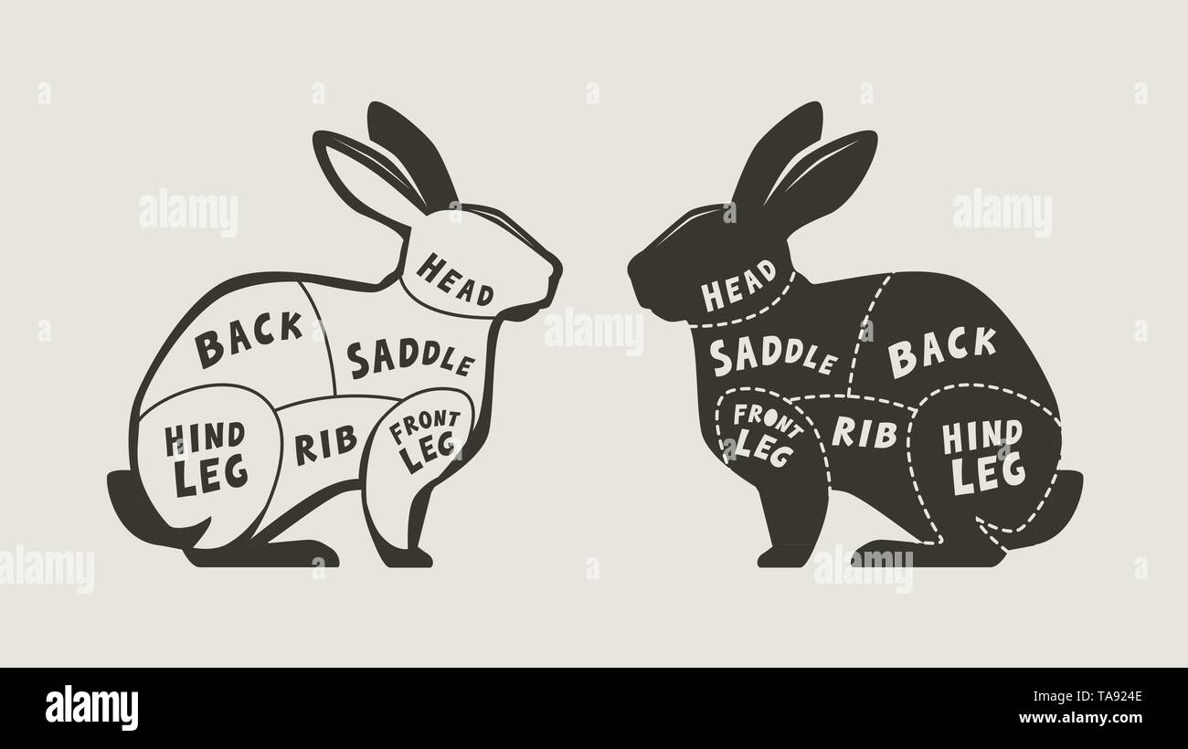 Rabbit meat cutting scheme. Menu for restaurant or butcher shop. Vector illustration Stock Vector