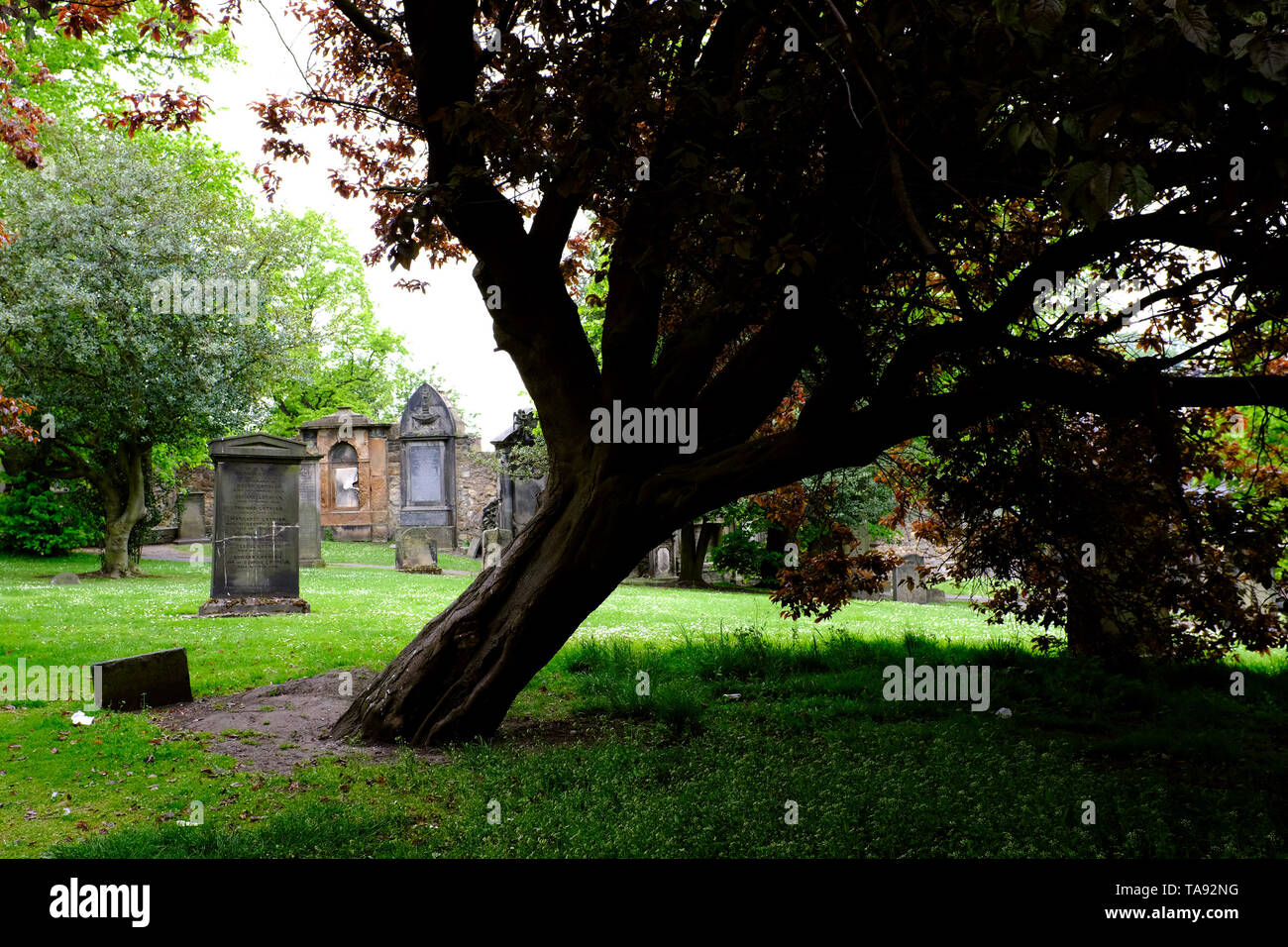 Edinburgh, Greyfriars cemetery Scotland May 8th - 19th. Trip across Scotland Foto Samantha Zucchi Insidefoto Stock Photo
