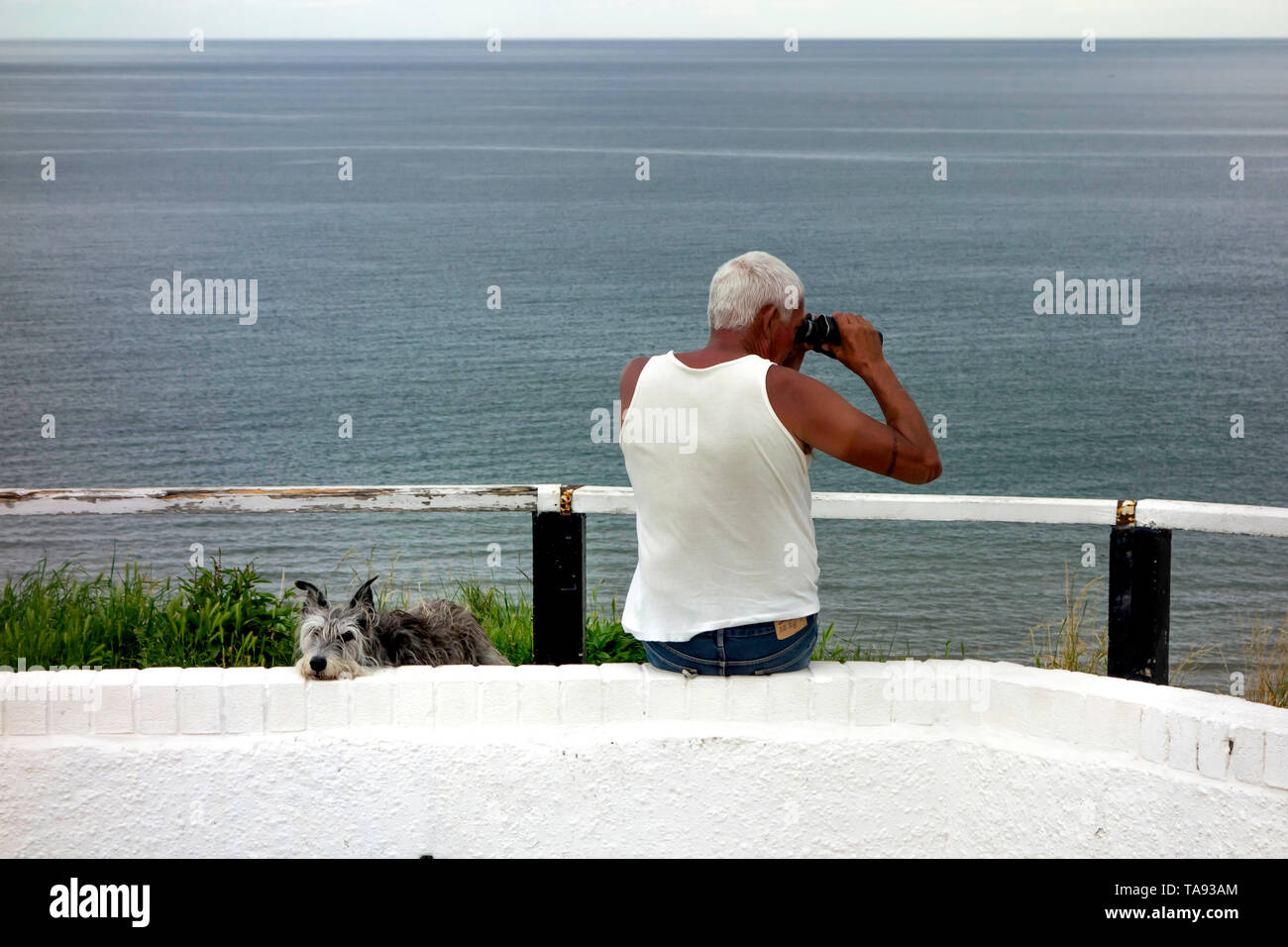 Well-built middle aged tanned man wearing a singlet and looking out to sea with binoculars while his lurcher dog looks on at Saltburn North Yorkshire Stock Photo