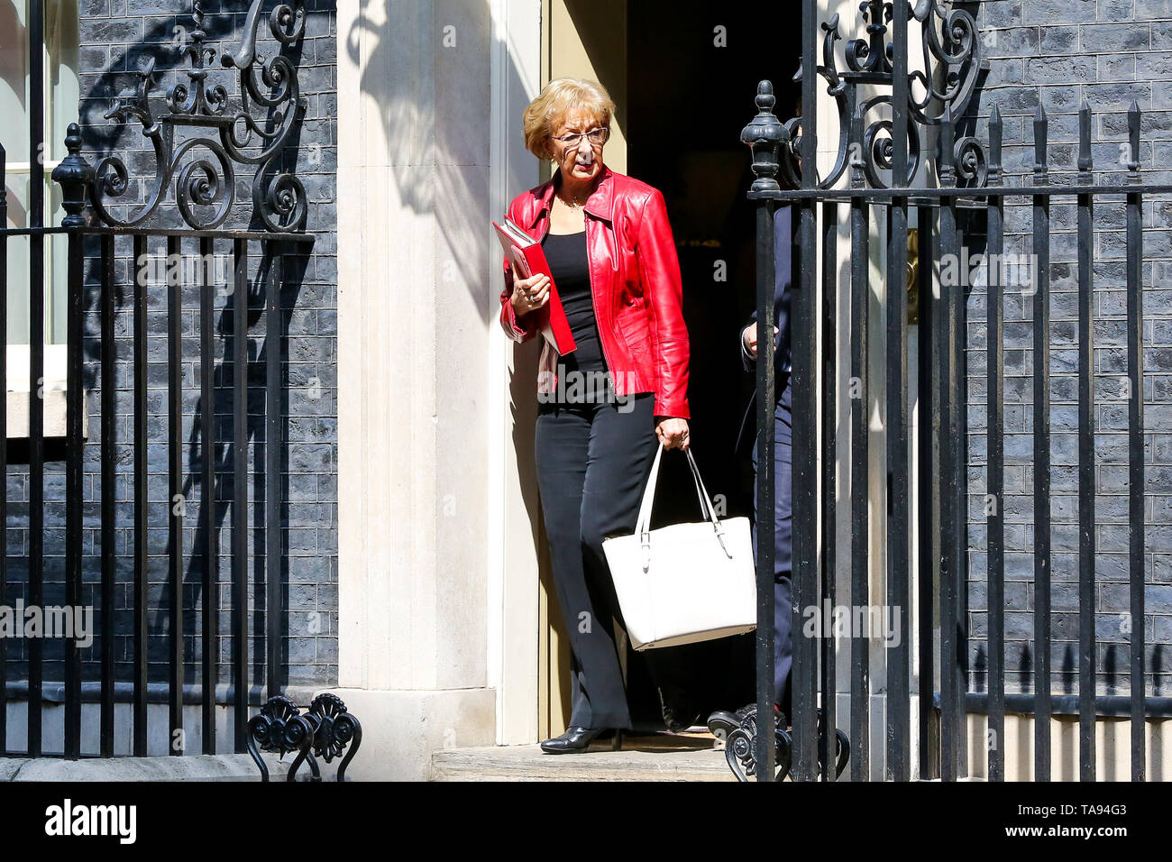 Andrea Leadsom seen at Downing Street. Andrea Leadsom has resigned as the Leader of the House of Commons, saying that she cannot support the Theresa May's Brexit bill. Stock Photo