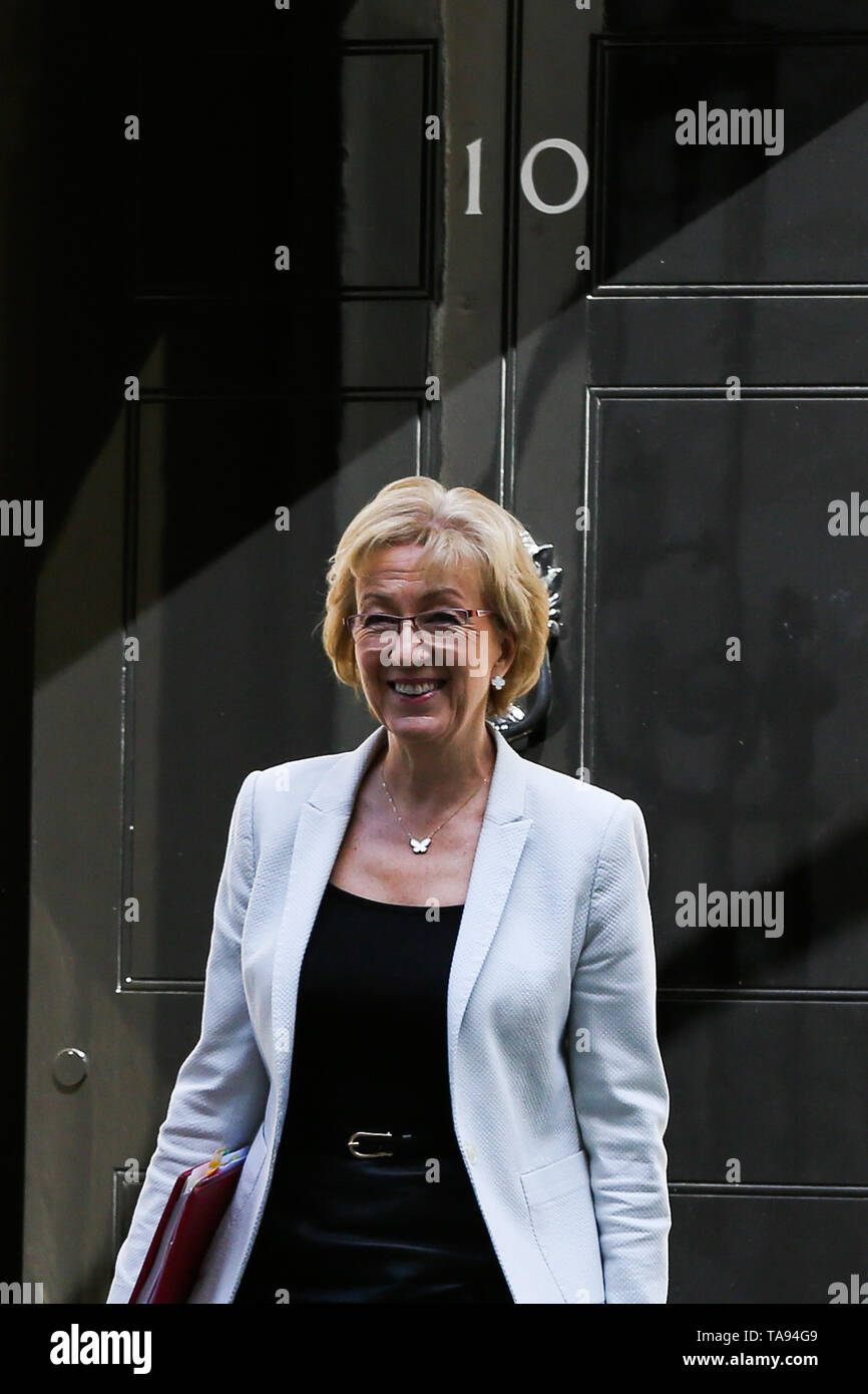 Andrea Leadsom seen at Downing Street. Andrea Leadsom has resigned as the Leader of the House of Commons, saying that she cannot support the Theresa May's Brexit bill. Stock Photo