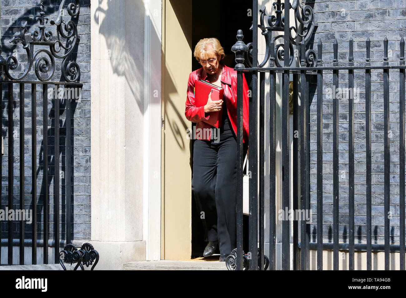 Andrea Leadsom seen at Downing Street. Andrea Leadsom has resigned as the Leader of the House of Commons, saying that she cannot support the Theresa May's Brexit bill. Stock Photo
