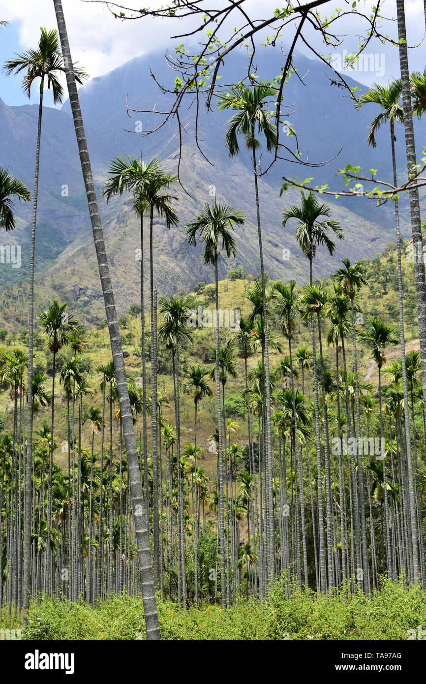 Bodinayakkanur hi-res stock photography and images - Alamy