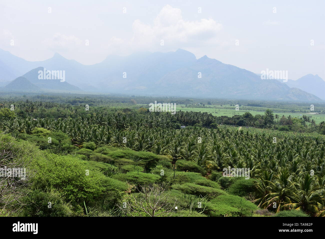 Bodi Mettu - The highest peak in South India Stock Photo