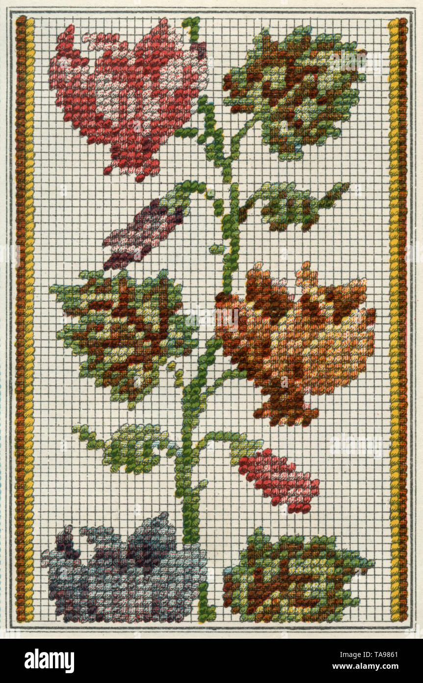 Embroidery border with flowers , (needlework book Stock Photo - Alamy Embroidery border with flowers , (needlework book Stock Photo - Alamy