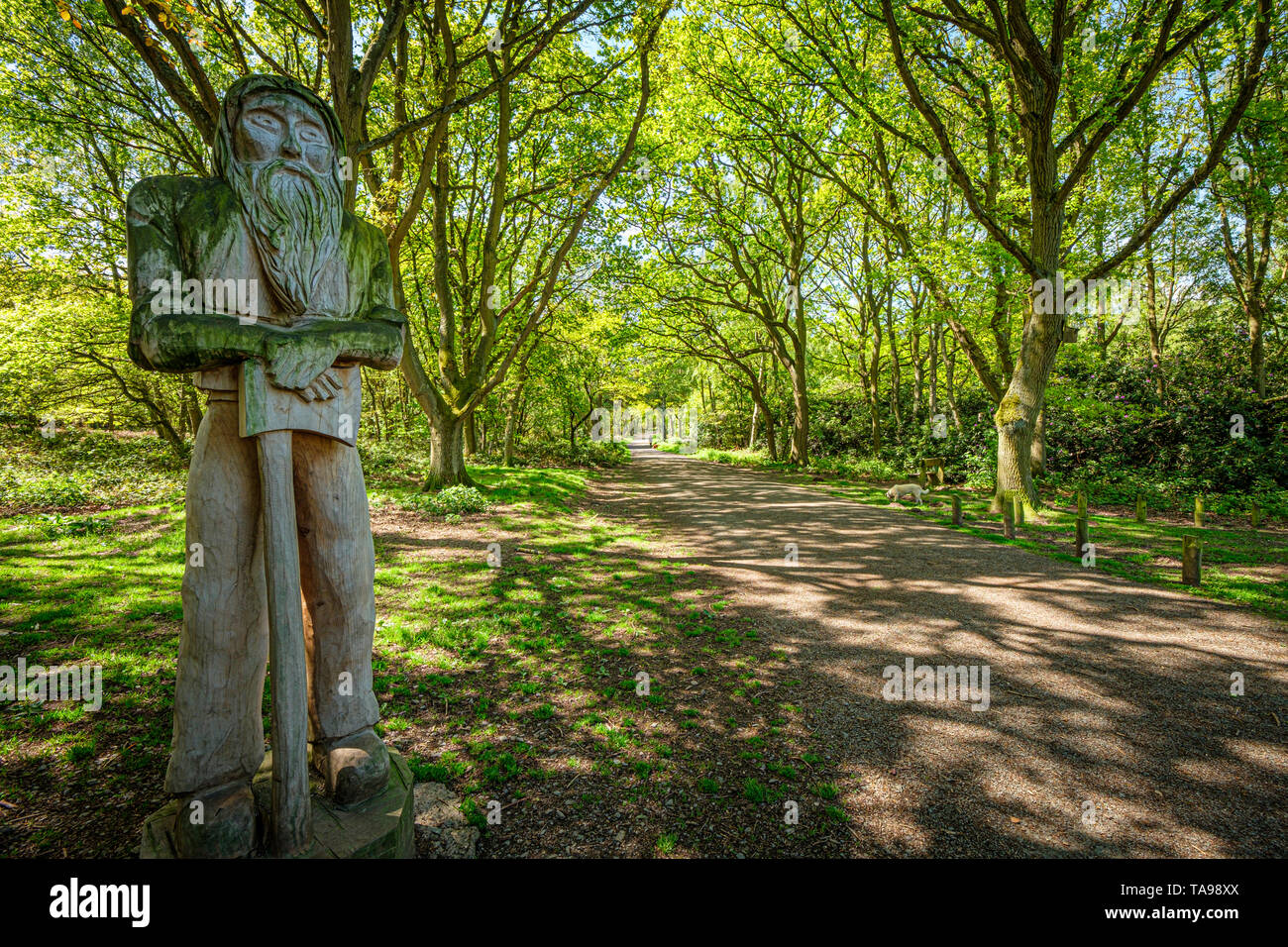 A carving of a woodsman stands guard at the entrance to spring woodland in Charnwood Forest. Stock Photo
