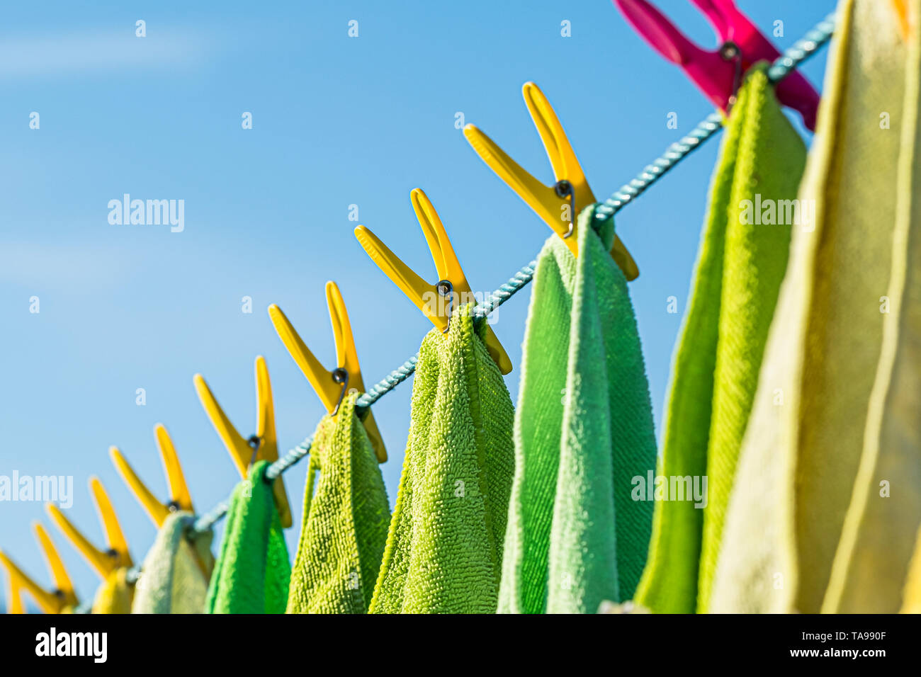 Microfibre cleaning cloths on a washing line. Stock Photo