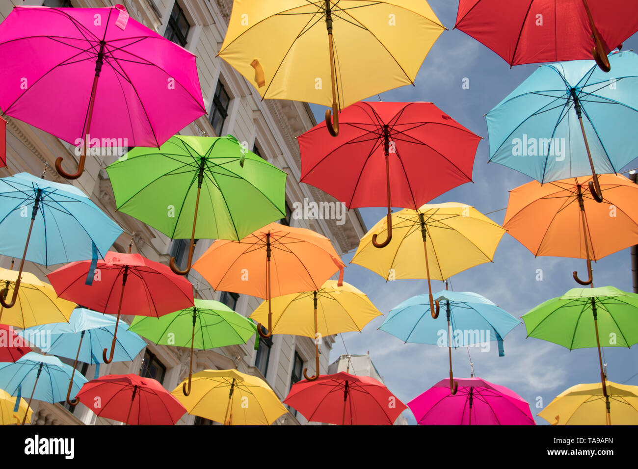 Colorful umbrellas decoration in streets of Timisoara city, Romania Stock Photo