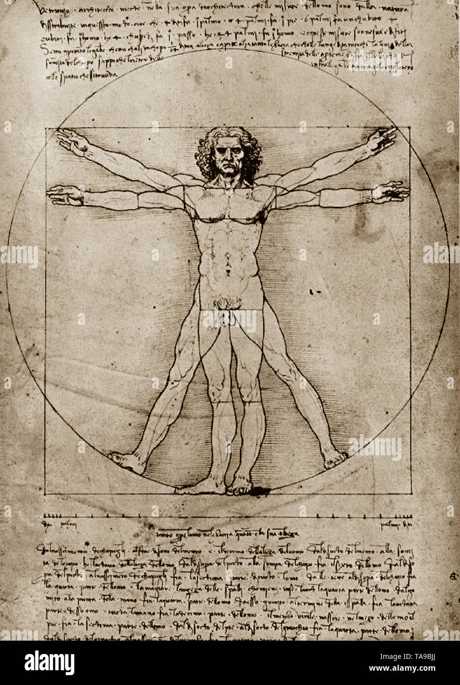 Leonardo Da Vinci - Proportions Human Figure Vitruvian Man 1492 Stock Photo