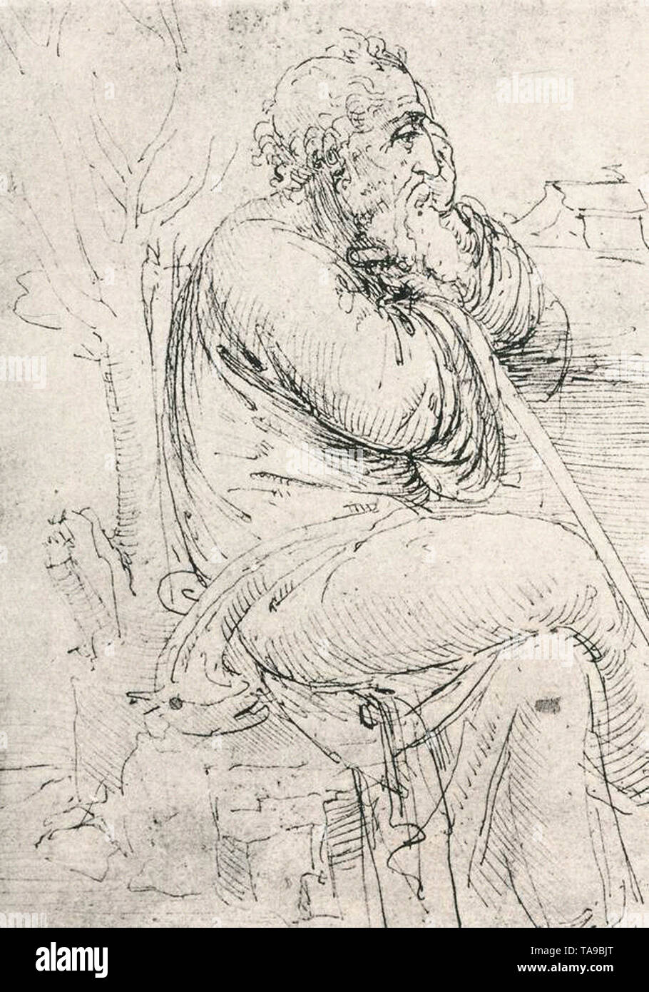 Leonardo Da Vinci - Seated Old Man 15 Stock Photo - Alamy
