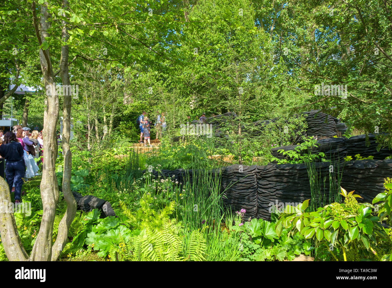 London, UK - May 22nd 2019: RHS Chelsea Flower Show, the M&G Garden judged to be the best in show. Controversial as it was planted mainly in green. Stock Photo