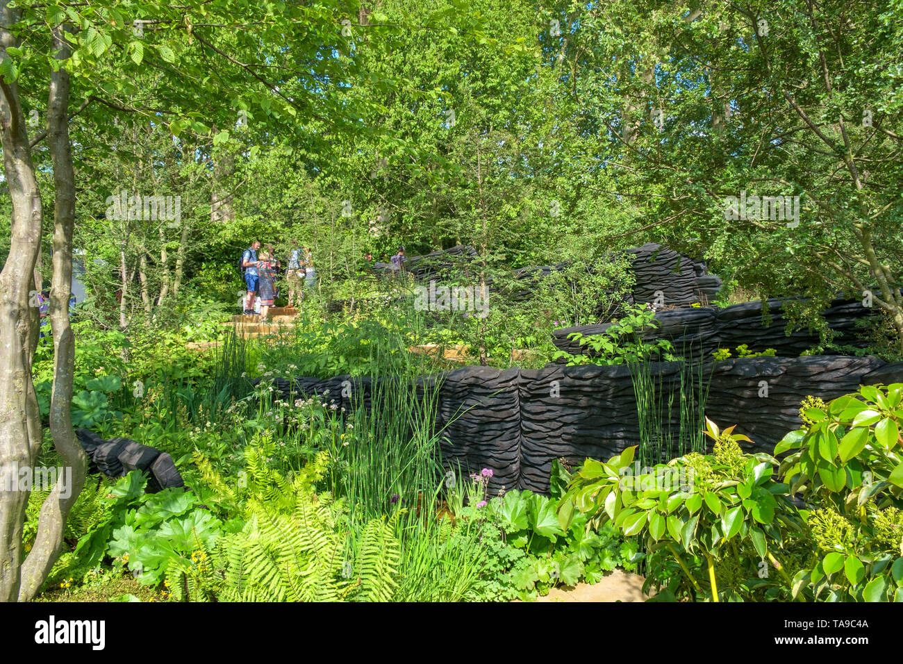 London, UK - May 22nd 2019: RHS Chelsea Flower Show, the M&G Garden judged to be the best in show. Controversial as it was planted mainly in green. Stock Photo