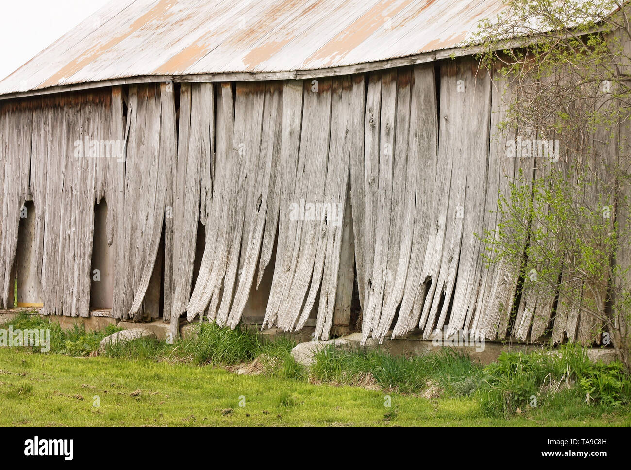 Old weathered barn with lifting boards and sloping roof Stock Photo