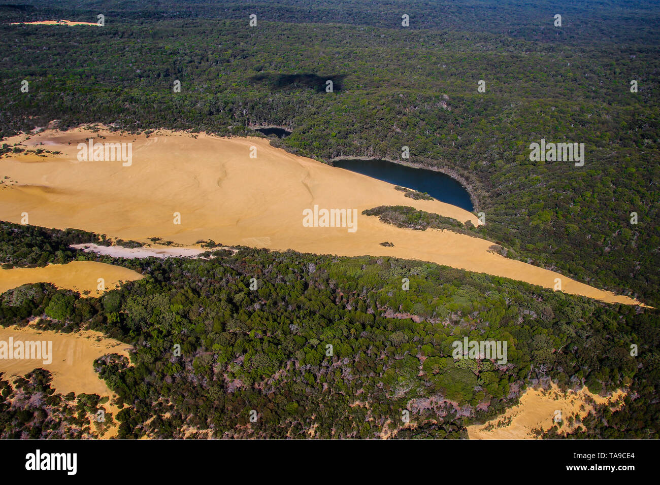 Lake Wabby and Hammerstone Sandblow on Fraser Island, view out of a