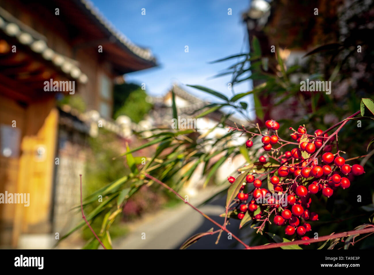 Traditional Korean houses called 'hanok' line the streets of Bukchon Hanok Village in Seoul, South Korea Stock Photo