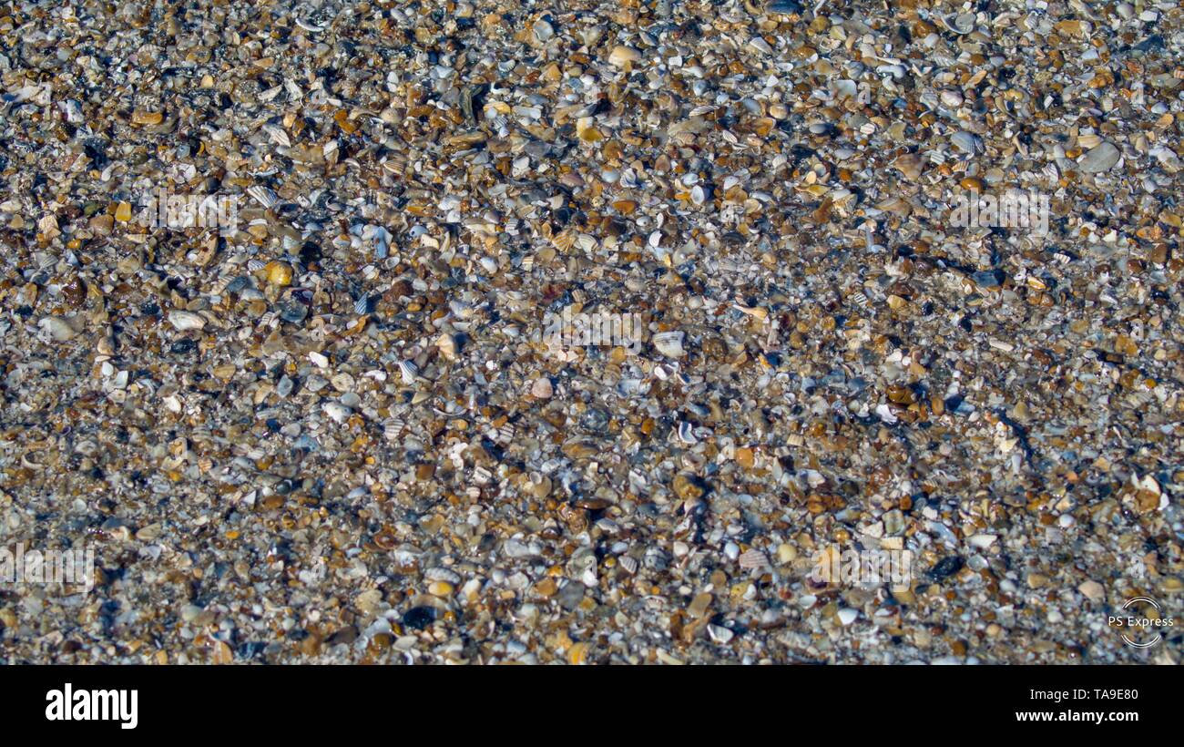 Shell Beach in Bolivar Peninsula, TX, USA. Taken with Sony Alpha 56. #beach #seashells #shells #wonderlust #wallpaper #background Stock Photo