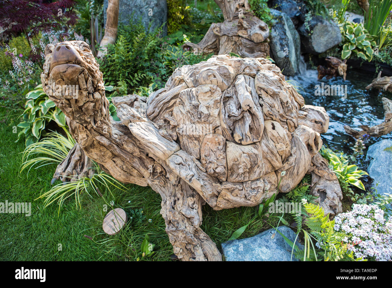 Driftwood turtle carving by James Doranb Stock Photo Alamy