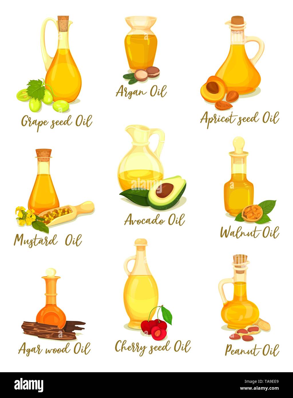 Set of natural oil for cooking and body care, food Stock Vector