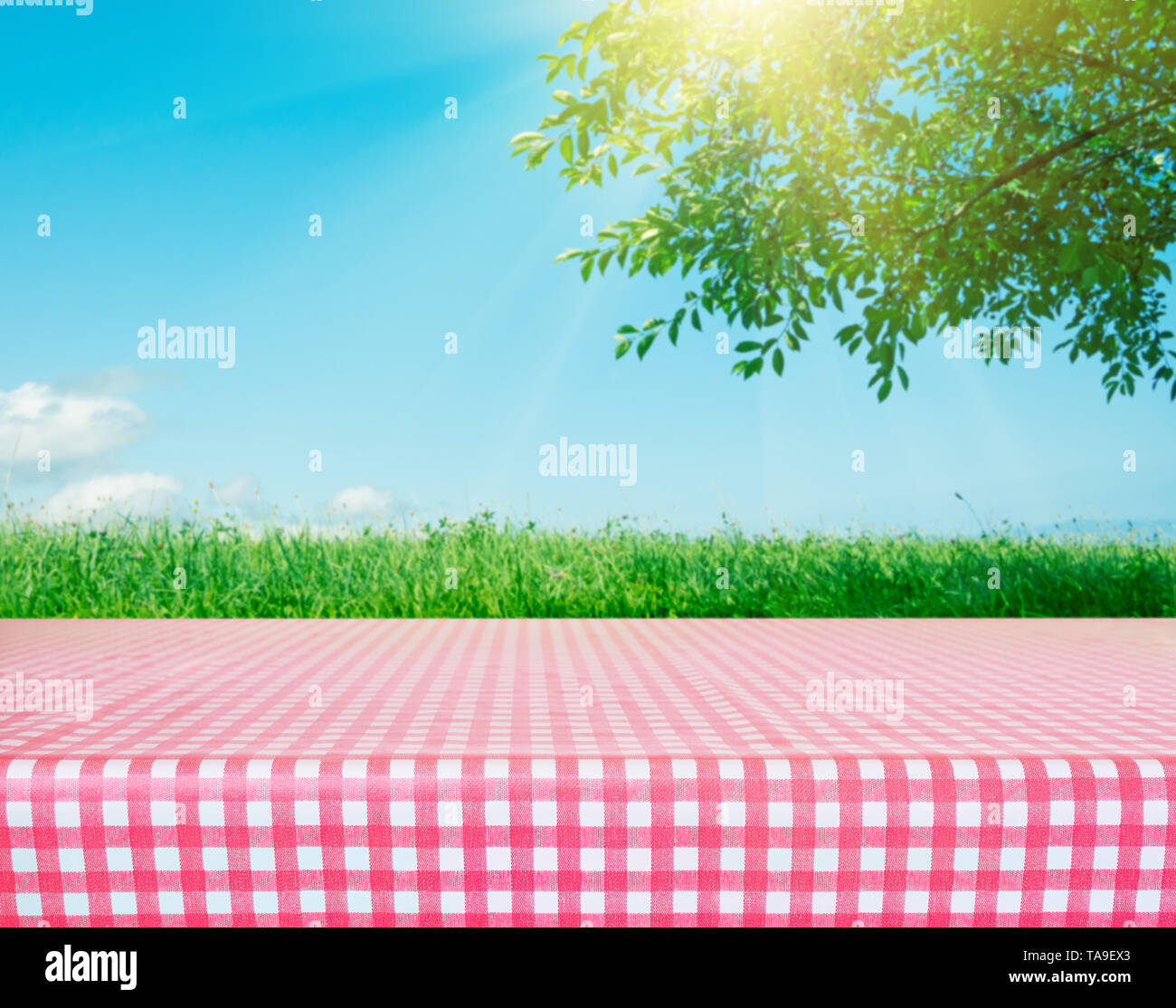 Picnic table covered with checkered tablecloth Stock Photo
