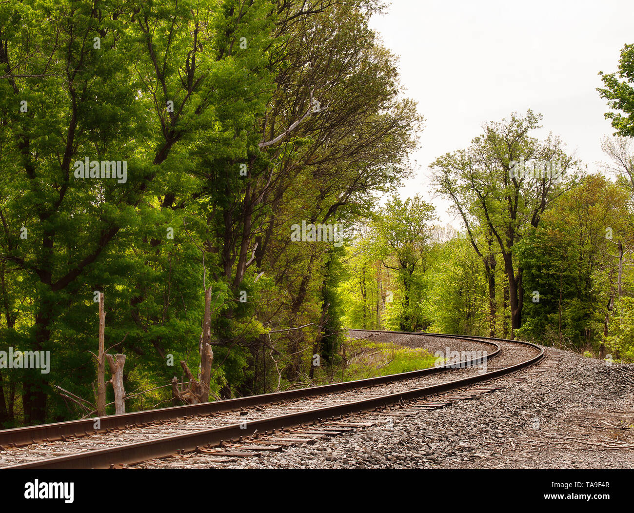 train track curving through a forest Stock Photo