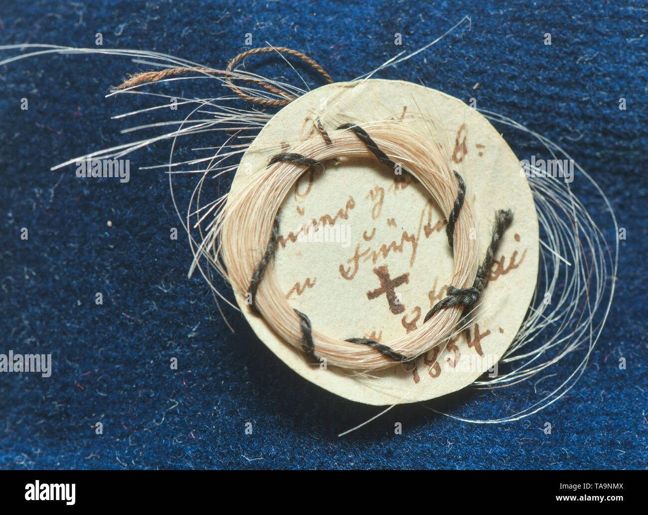 23 May 2019, Brandenburg, Cottbus: Hair curls from the Princess and Prince Pückler are on display in the new permanent exhibition 'Fürst Pückler. A European in Branitz' at Branitz Castle. Branitz Castle and its former landlord, Prince Pückler, have long been crowd-pullers. A new permanent exhibition now offers insights into the life of 'man' for the first time. Prince Pückler is known as a globetrotter, garden lover and namesake for an ice cream speciality. In the show, which will be open to the public from 26.05.2019, pieces will be shown that are supposed to tell something about Pückler's pe Stock Photo