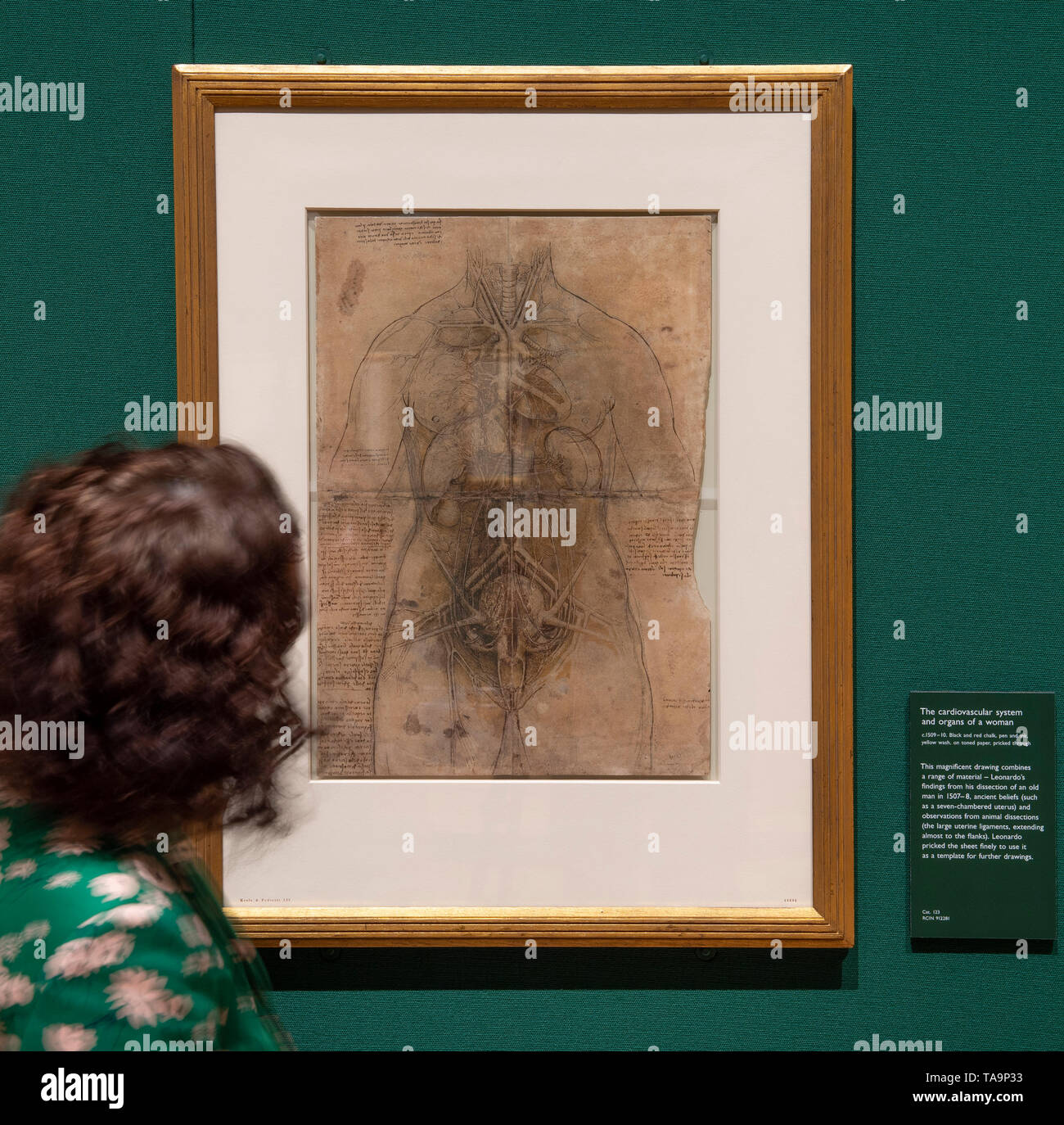 The Queen’s Gallery, London, UK. 23rd May 2019. Leonardo da Vinci: A Life in Drawing is the largest exhibition of Leonardo’s work in more than 65 years, and marks the 500th anniversary of the artist’s death. The exhibition features over 200 drawings by Leonardo, drawn from The Royal Collection. Image: The cardiovascular system and principal organs of a woman, c1509-10. The exhibition runs from 24 May-13 October 2019. Credit: Malcolm Park/Alamy Live News. Stock Photo