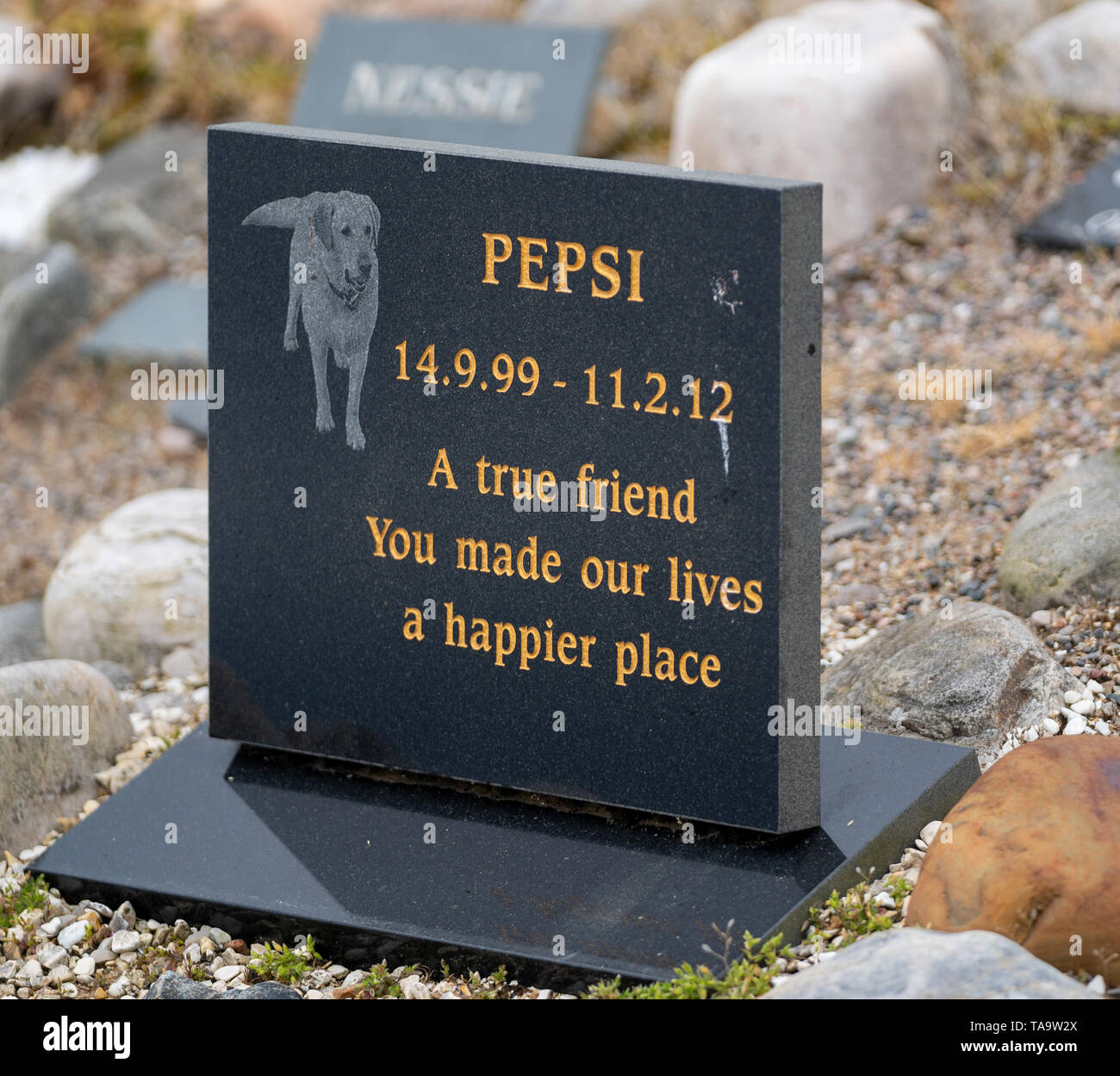 Cullen Pet Cemetery, Cullen Beach, Moray, UK. 23rd May, 2019. UK. This is the Pet Cemetery at Cullen which has been hit with UK Government quango, the Animal and Plant Health Agency (APHA), bill for running an “animal waste disposal business”. Credit: JASPERIMAGE/Alamy Live News Stock Photo