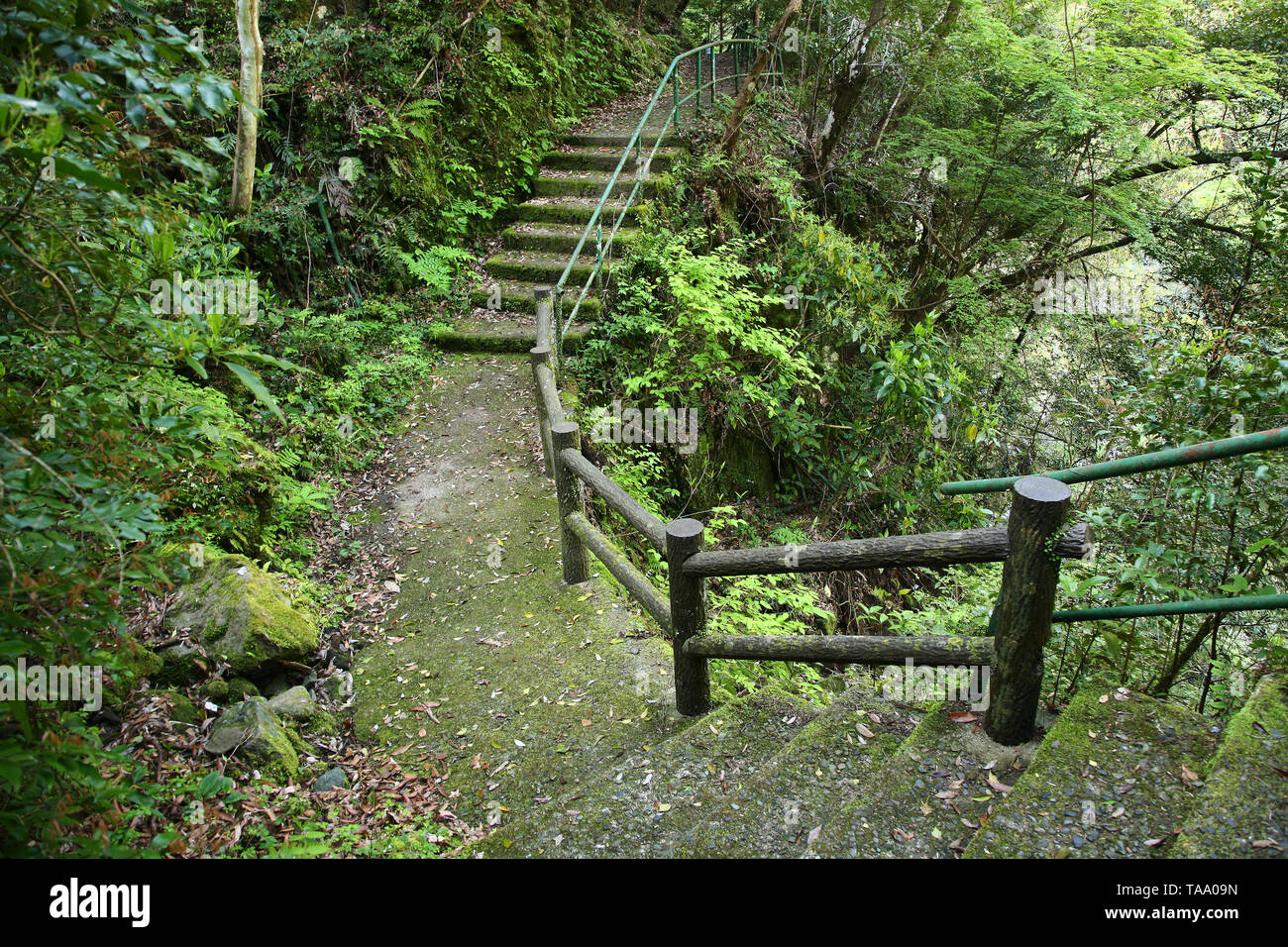 hiking trail to Takachiho gorge Miyazaki Japan Stock Photo