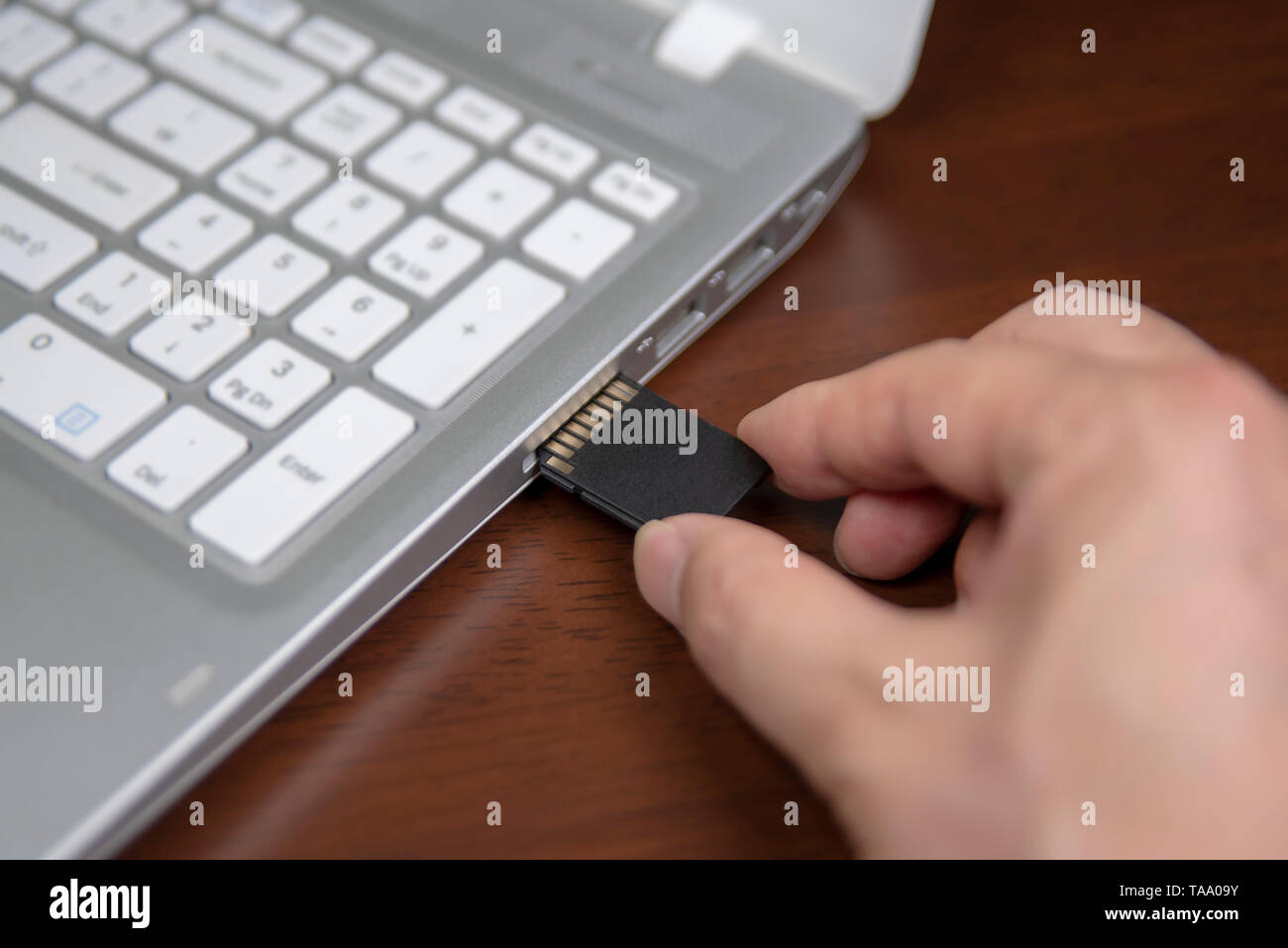 Human hand plugging in an SD media card into the personal laptop computer Stock Photo