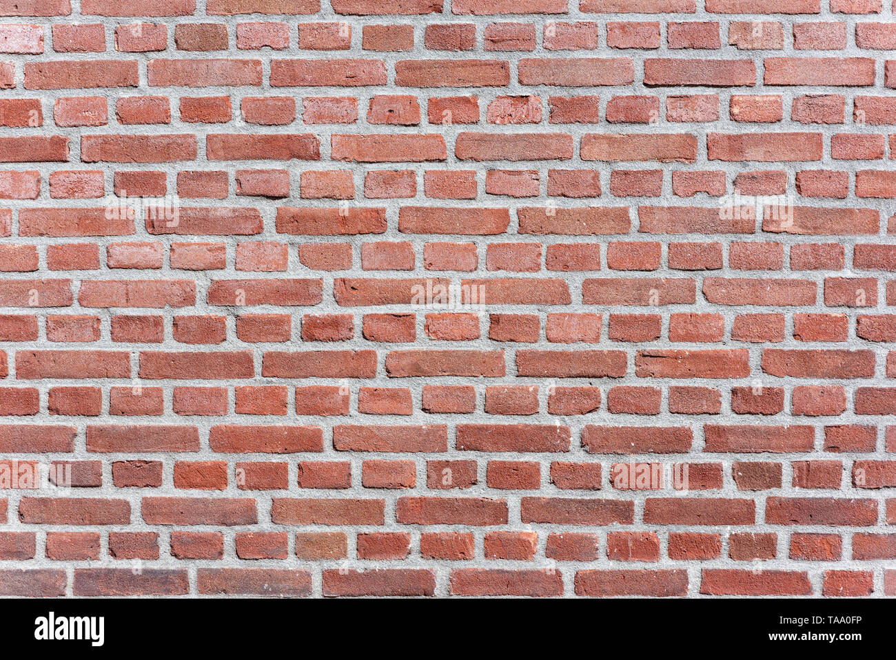 Red brick wall texture close-up background in sunlight Stock Photo - Alamy