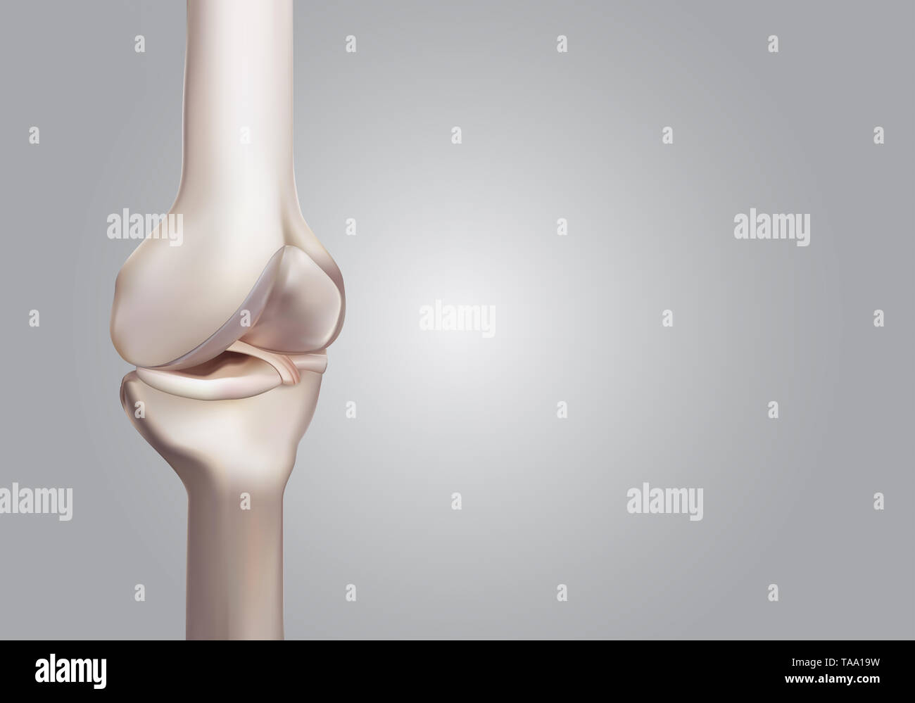 Normal knee hi-res stock photography and images - Alamy