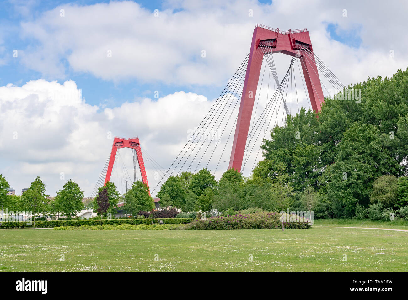 Willemsbrug bridge red cable bridge against blue sky view from a park, Rotterdam, Netherlands Stock Photo