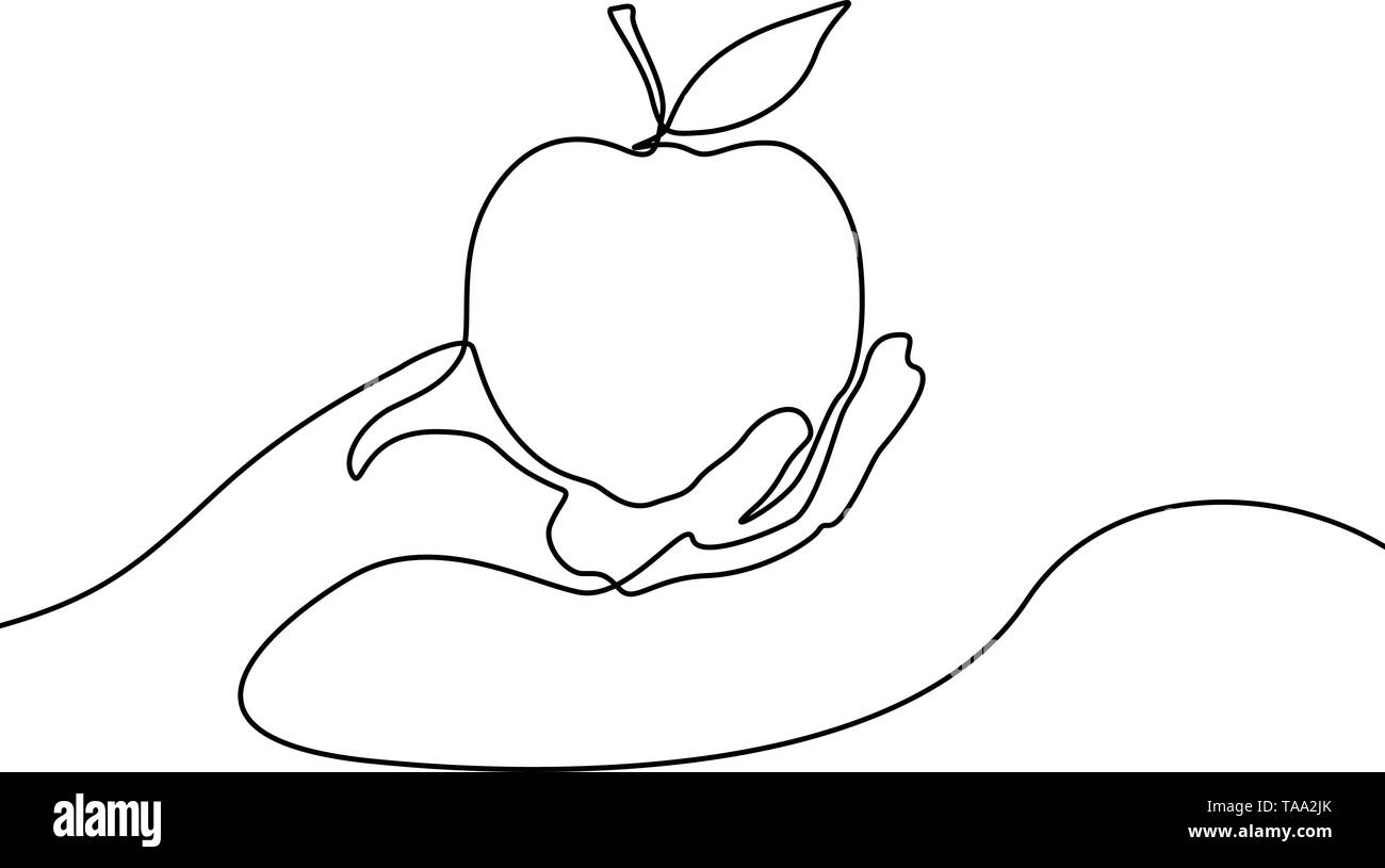 Continuous line apple in hand. Vector illustration. Stock Vector