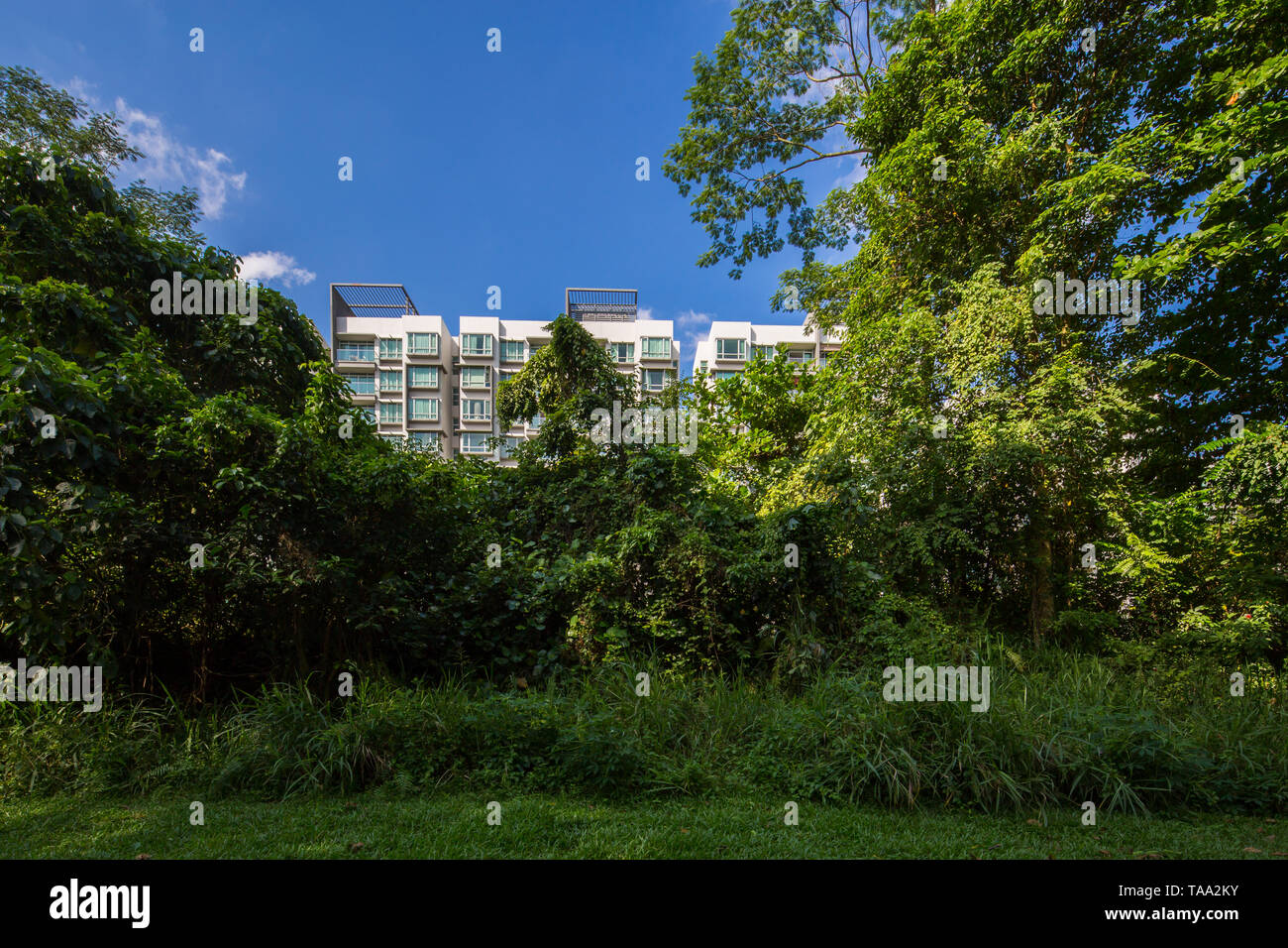 Nature greenery along rail corridor with a private estate nearby