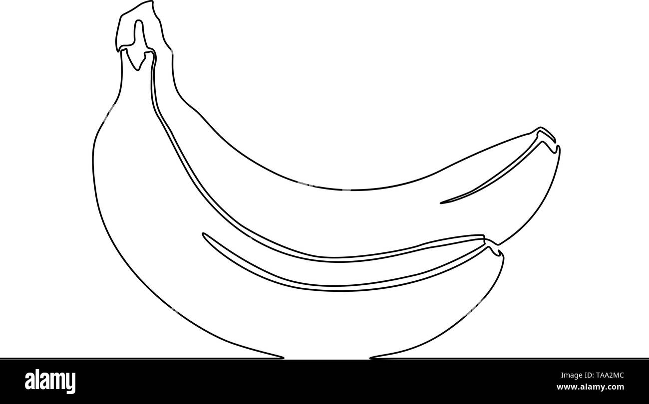Continuous one line drawing banana, tropical fruit Stock Vector Image
