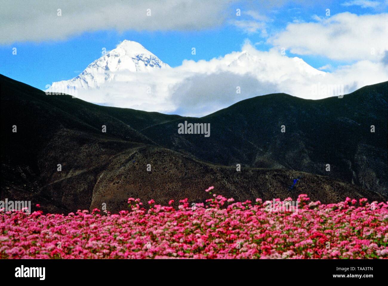 Dhaulagiri as seen from Muktinath, Nepal, Asia Stock Photo