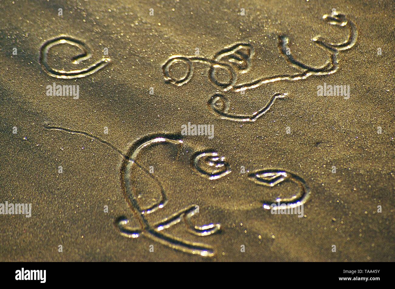 Tiny Sea Creatures Paths Create Abstract Design on Sand, Gujarat, India, Asia Stock Photo