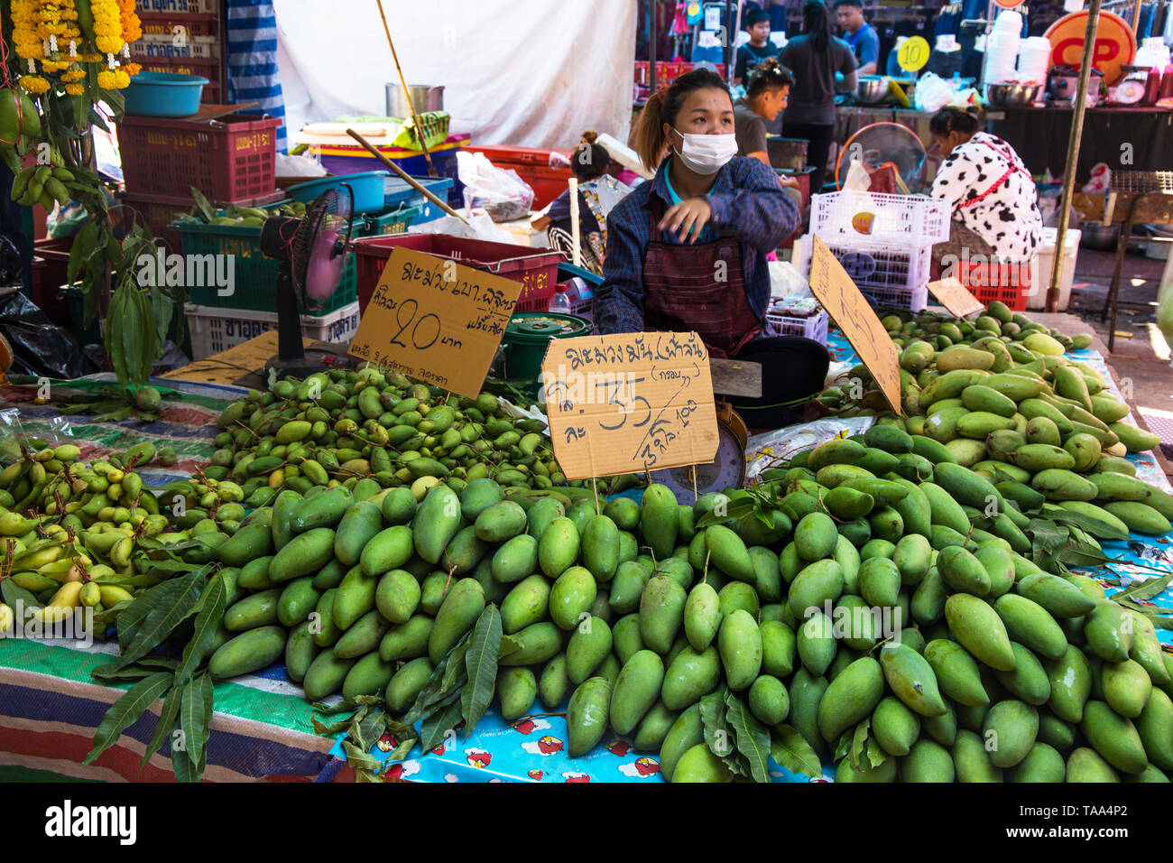 SAKON NAKHON, THAILAND FEBRUARY 2, 2019 - Green mango on sale at the market in Sakon, Nakhon, Thailand. Stock Photo