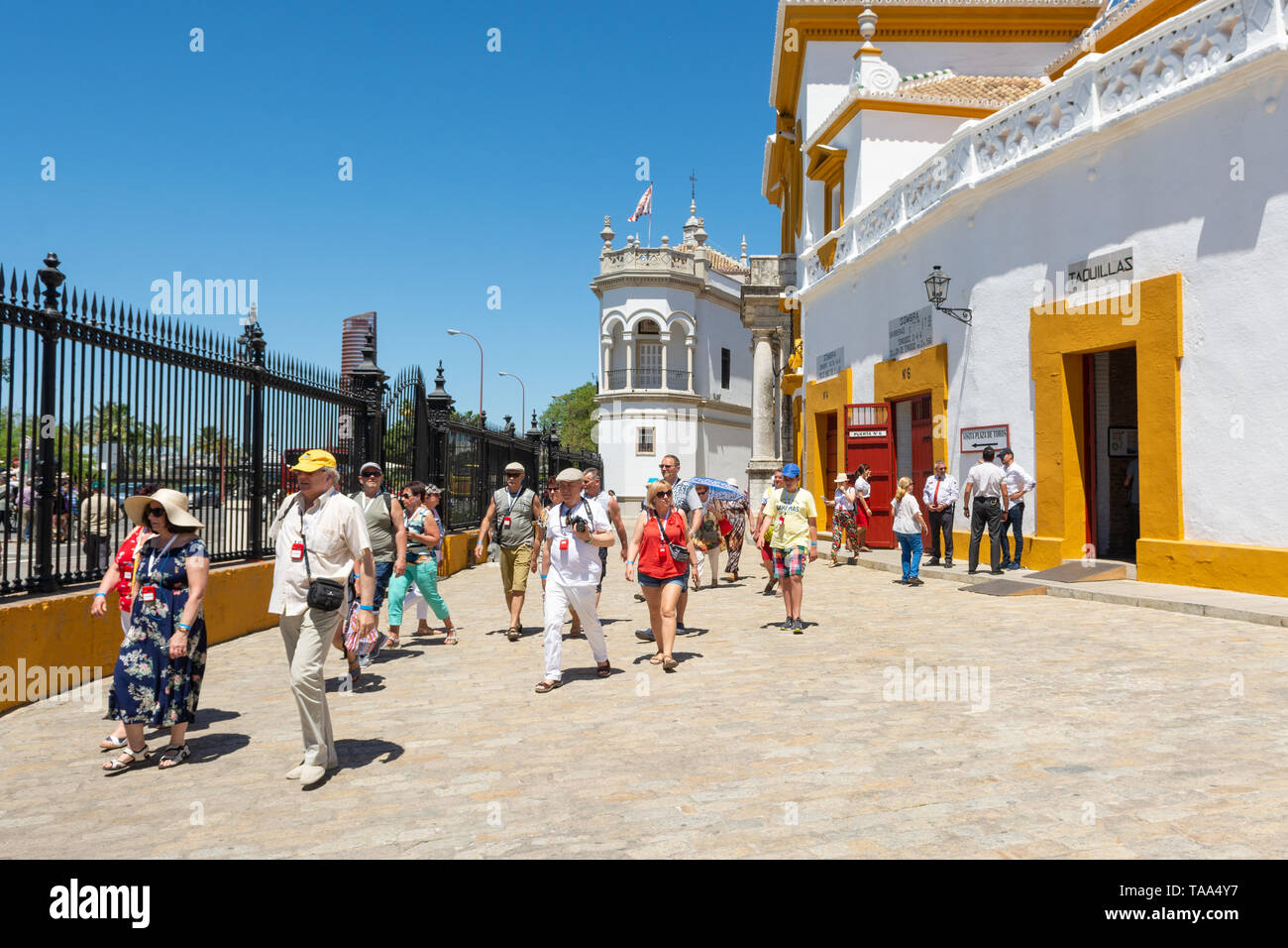 Tourists at the grand royal bullring and museum of bullfighting art, Seville, Andalusia region, Spain Stock Photo