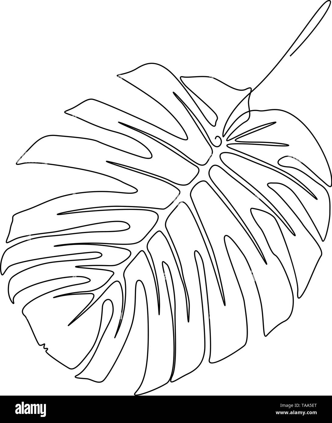 One Line Drawing Monstera Leaf Continuous Line Exotic Tropical Plant