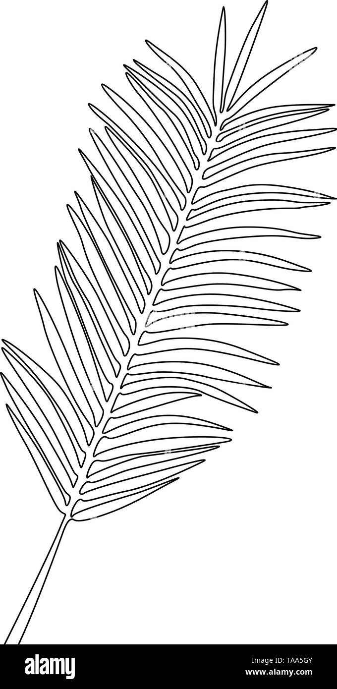 Dessin Feuille Palmier Royalty-Free Images, Stock Photos & Pictures