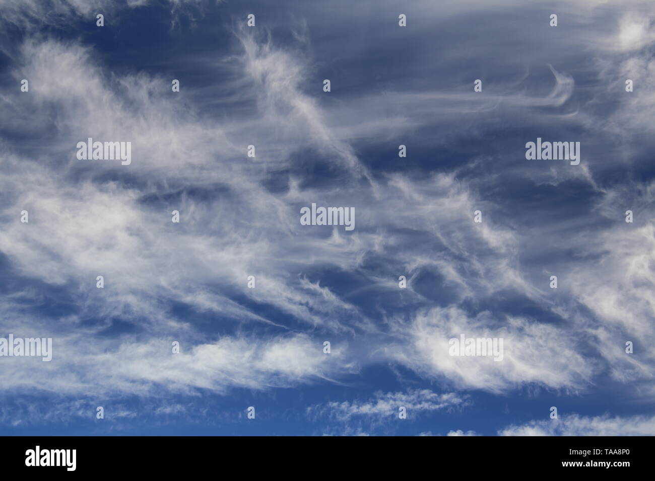 Fine formations of high cirrus spissatus clouds . Stock Photo