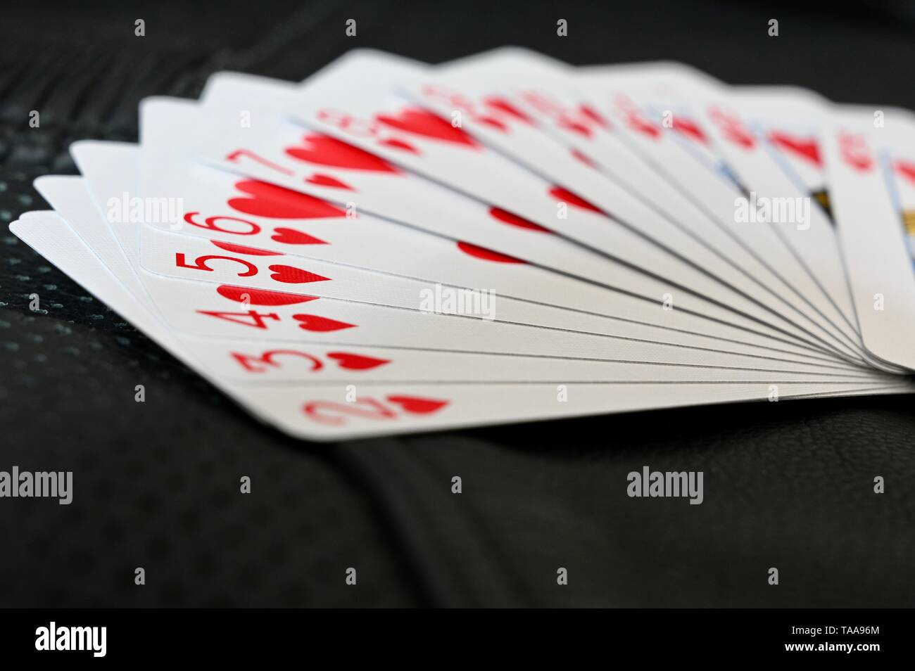 Suit of Hearts Playing Cards Fanned Across Textured Background Stock