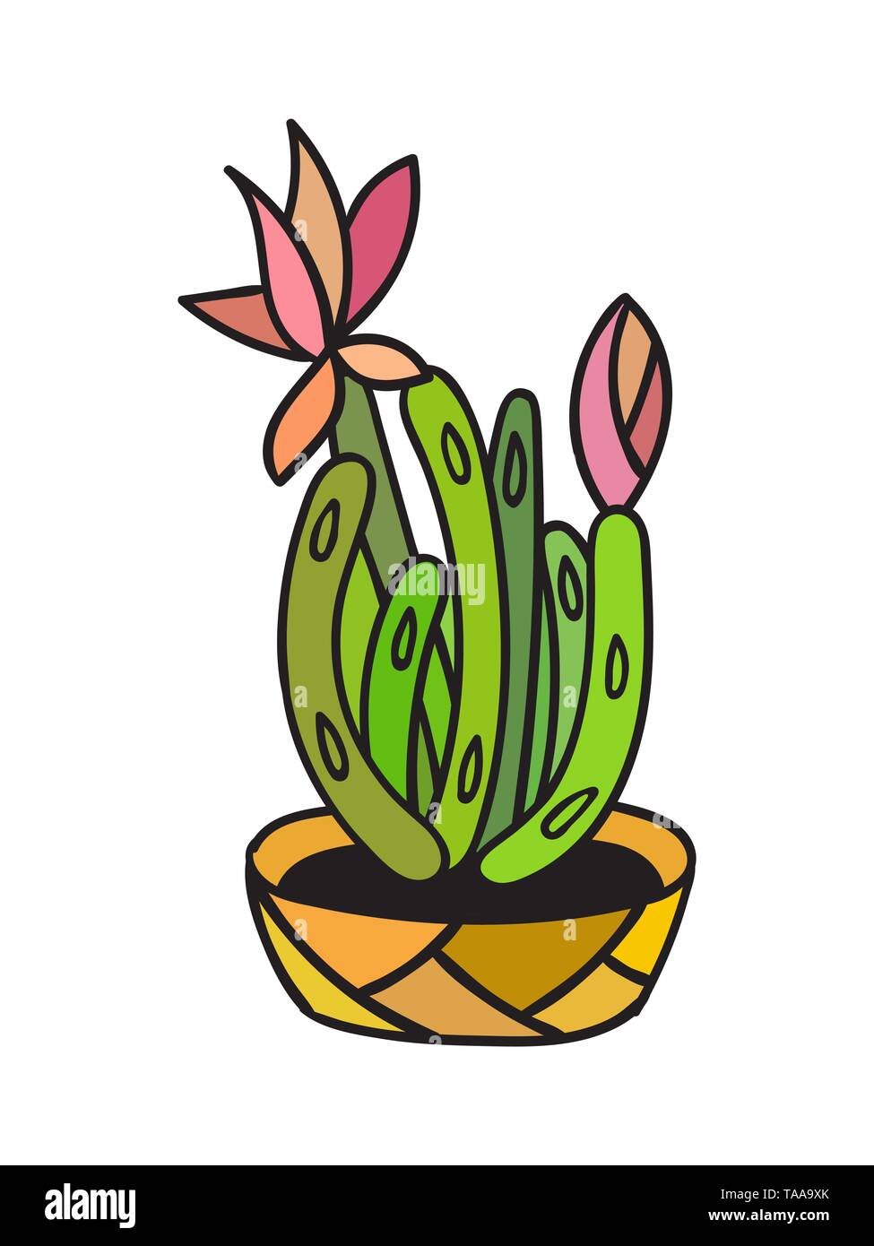 Cactus with black contour. Vector illustration Stock Vector Image & Art ...
