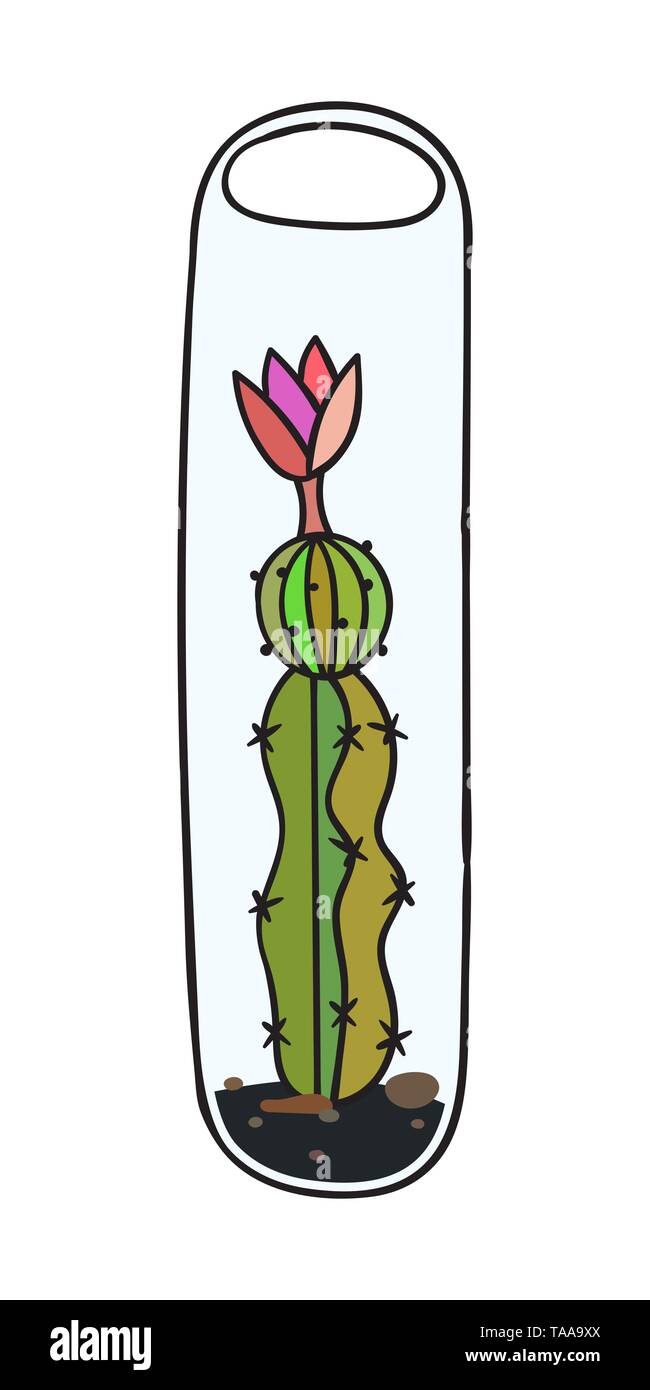 Cactus with black contour. Vector illustration Stock Vector Image & Art ...