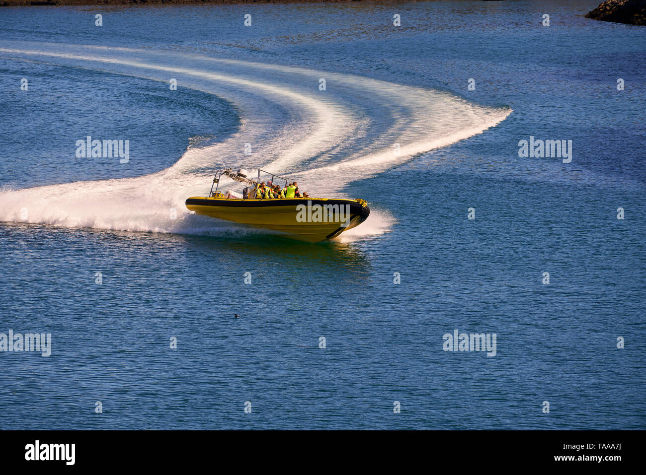 Speedboat, Heimaey, Westman Islands, Iceland Stock Photo