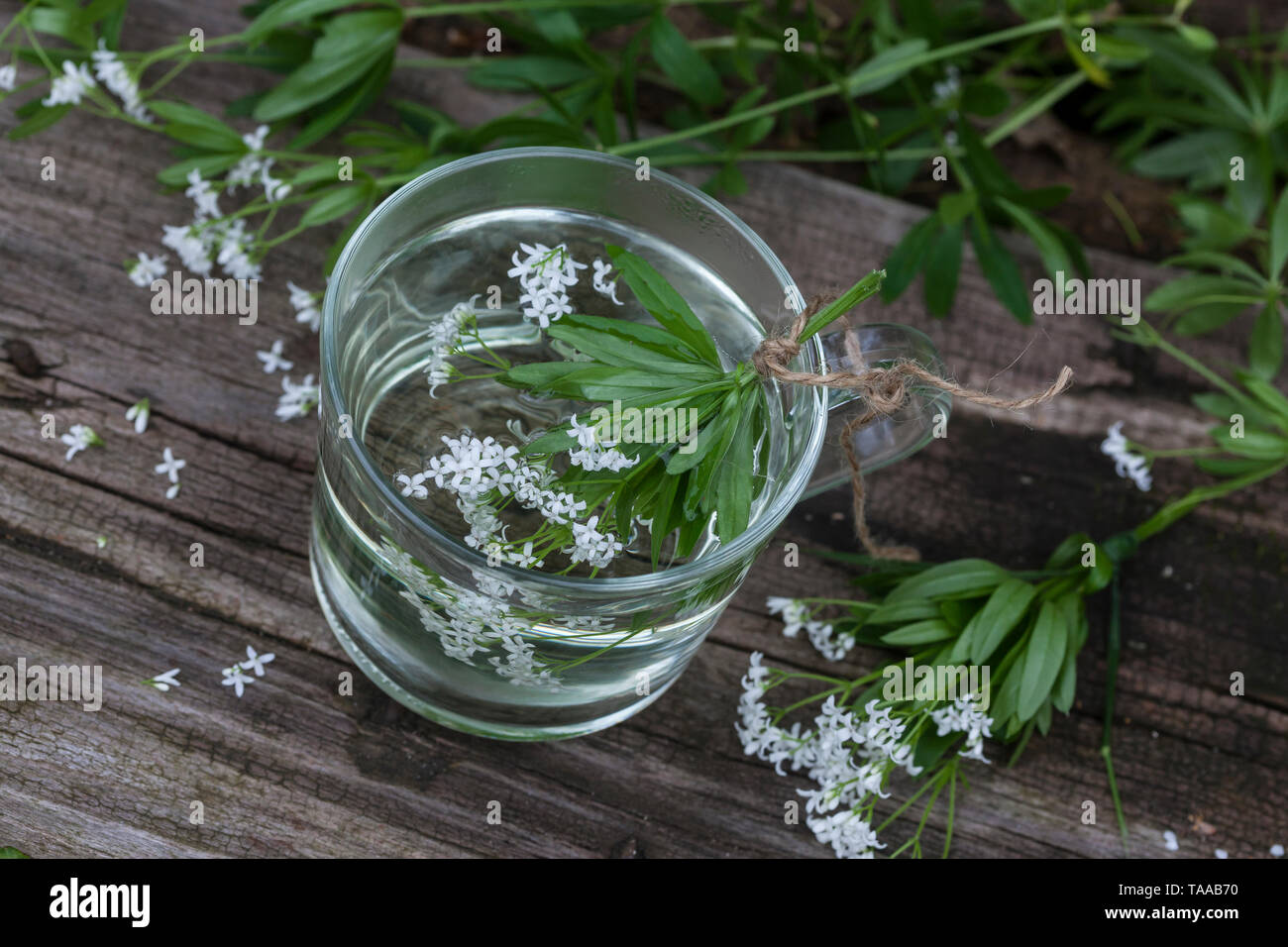 Waldmeister tee hi-res stock photography and images - Alamy